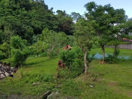 Gambar Makanan Genta Bali Warung 4