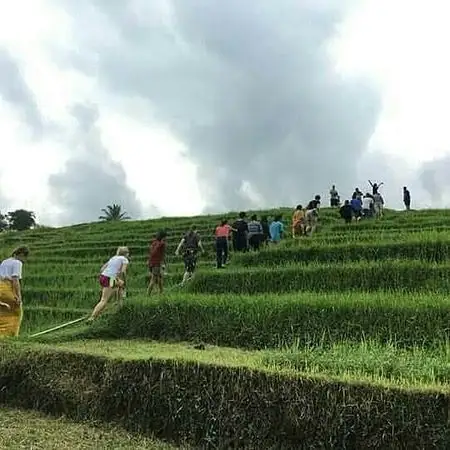 Gambar Makanan Waroeng Wayan Jatiluwih 15