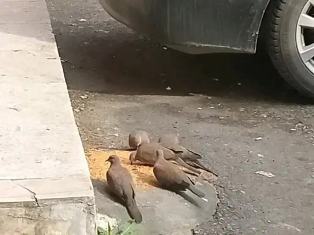 Fethiye Ekmek Fırını'nin yemek ve ambiyans fotoğrafları 1