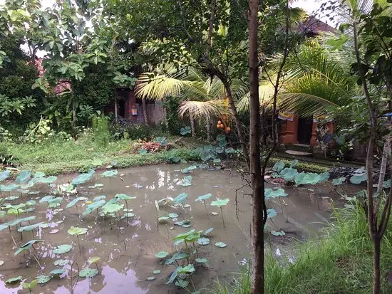 Gambar Makanan Lala & Lili Warung 7