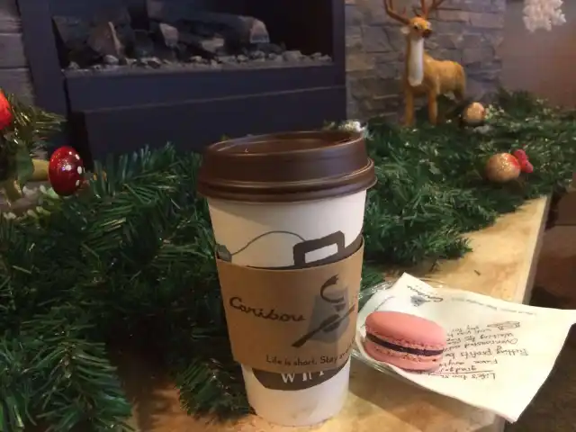 Caribou Coffee'nin yemek ve ambiyans fotoğrafları 44