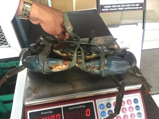 Monster Crab Cebu Food Photo 2