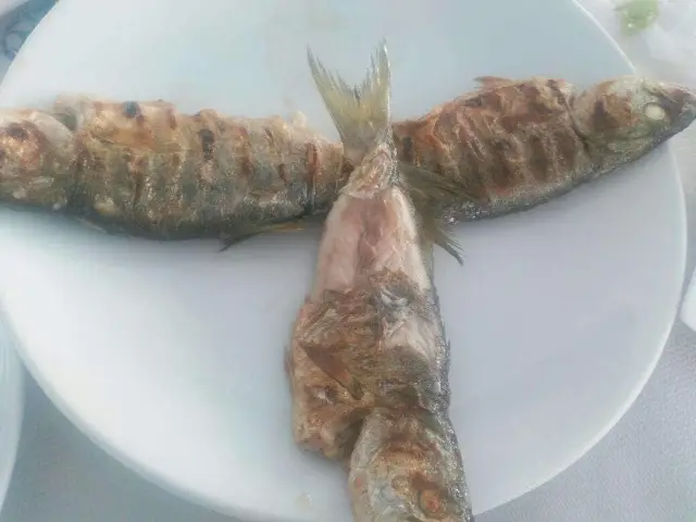Pusula Balık Restaurant'nin yemek ve ambiyans fotoğrafları 17