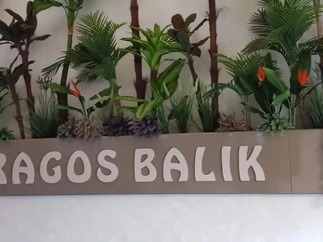 Dragos Balık'nin yemek ve ambiyans fotoğrafları 62