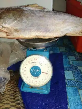 Fresh fish batang air.lubok antu Food Photo 1