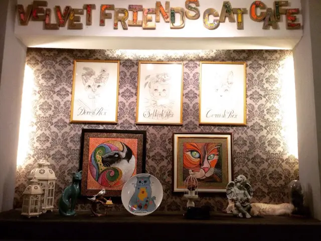 Velvet Friends Cat Cafe Company Food Photo 3