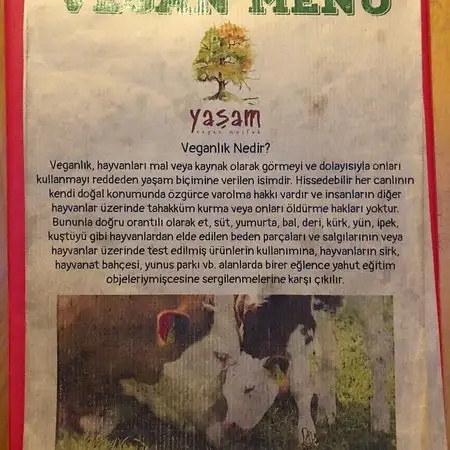 Yaşam Vegan Kafe'nin yemek ve ambiyans fotoğrafları 19