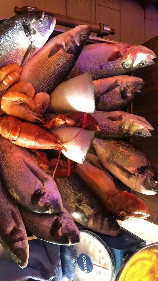 Galata Altın Balık'nin yemek ve ambiyans fotoğrafları 53