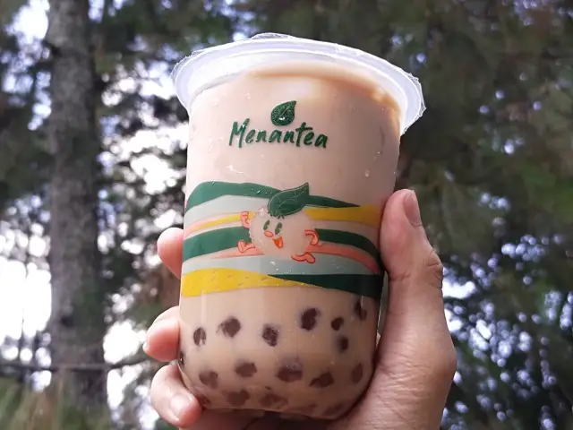 Menantea