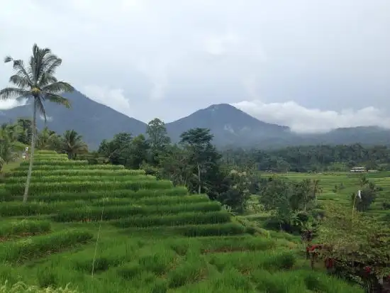 Gambar Makanan Waroeng Wayan Jatiluwih 16