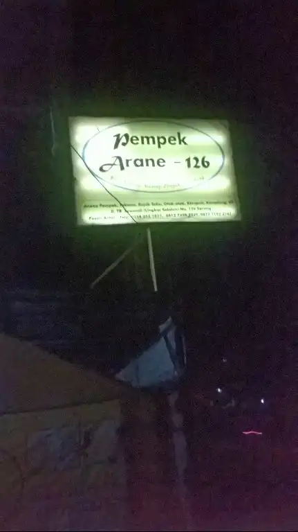 Gambar Makanan pempek arane-126 8