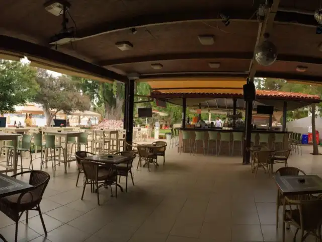 Manuela Restaurant'nin yemek ve ambiyans fotoğrafları 16