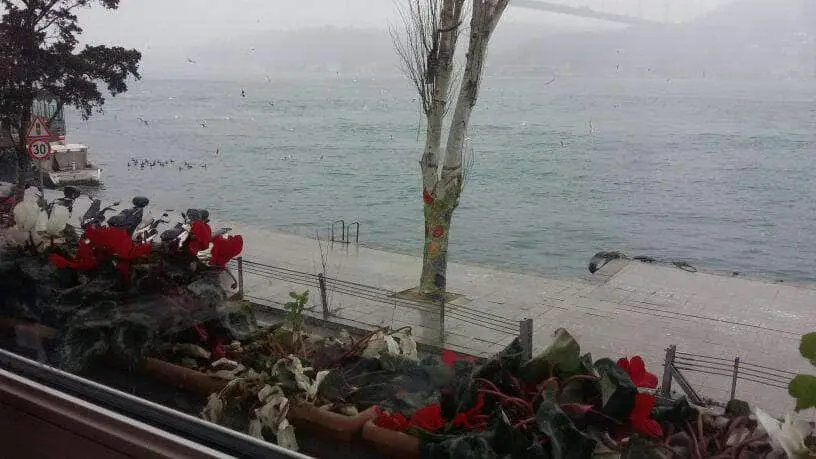 Rumeli Kale Cafe & Restaurant'nin yemek ve ambiyans fotoğrafları 30