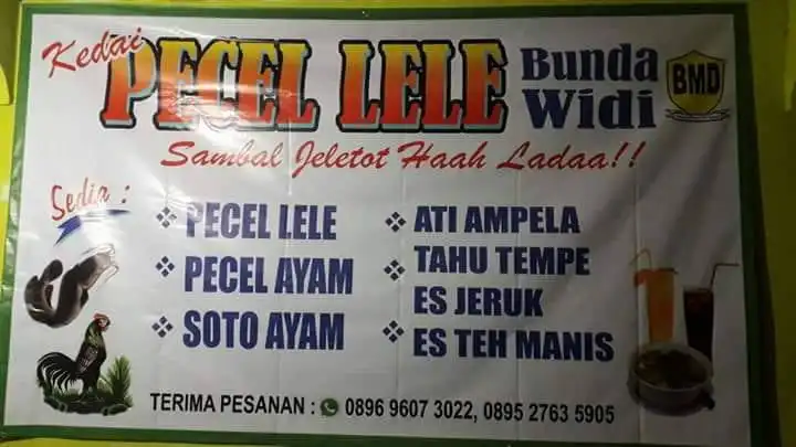 Pecel Lele Bunda Widi