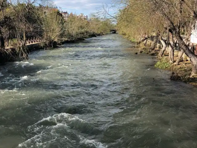 Lara Su Cafe'nin yemek ve ambiyans fotoğrafları 19