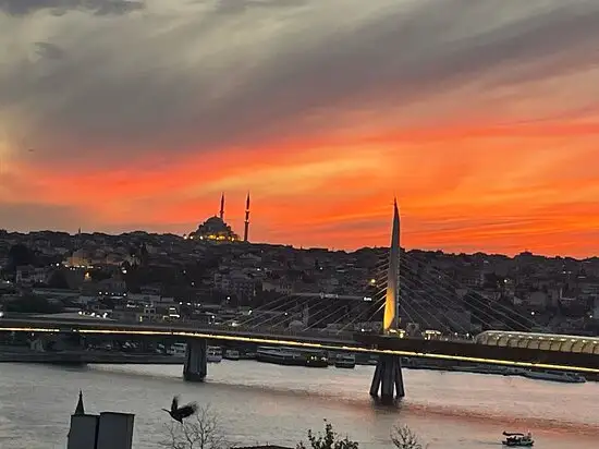 Yarımada Balık'nin yemek ve ambiyans fotoğrafları 9