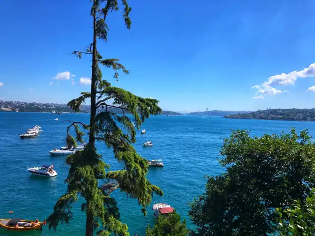 Beykoz Kasrı Mecidiye Köşkü Kafeterya'nin yemek ve ambiyans fotoğrafları 4