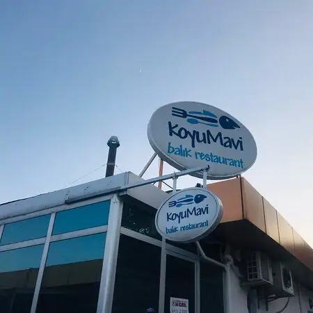 Koyu Mavi Balık Restaurant'nin yemek ve ambiyans fotoğrafları 14