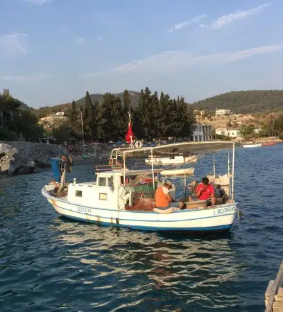 Mazı Restaurant'nin yemek ve ambiyans fotoğrafları 3