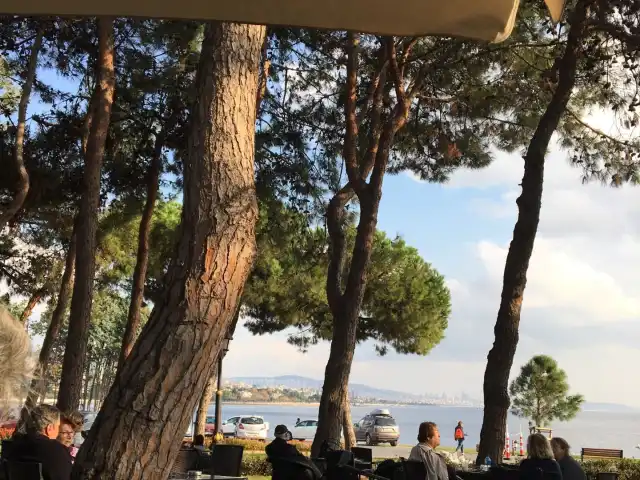 Fbo Çamlık Park Cafe&Restaurant'nin yemek ve ambiyans fotoğrafları 11