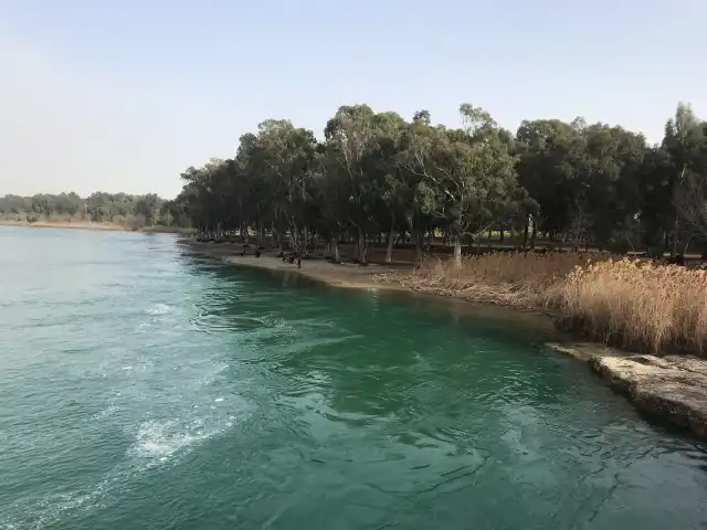 Şehr-i Yar Gemi Cafe & Restaurant'nin yemek ve ambiyans fotoğrafları 2