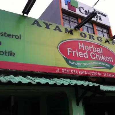 Herbal Fried Chicken