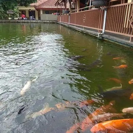 Gambar Makanan Resto Ikan Dewa 18