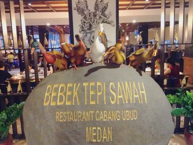 Gambar Makanan Bebek Tepi Sawah 12