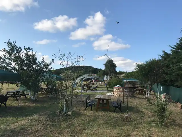 Tavşan Vadisi'nin yemek ve ambiyans fotoğrafları 11