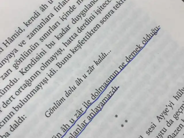 Eryaman Göksu Parkı'nin yemek ve ambiyans fotoğrafları 1