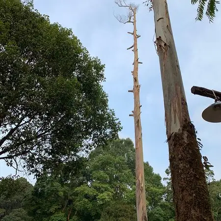 Gambar Makanan Warung Kopi Gunung 19