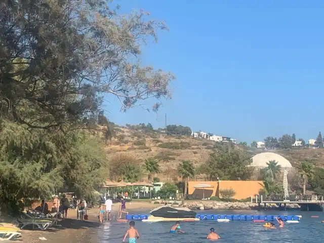 SAL Bodrum'nin yemek ve ambiyans fotoğrafları 3