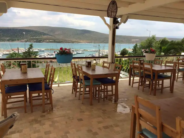 Shaka Marine Cafe & Bistro'nin yemek ve ambiyans fotoğrafları 4