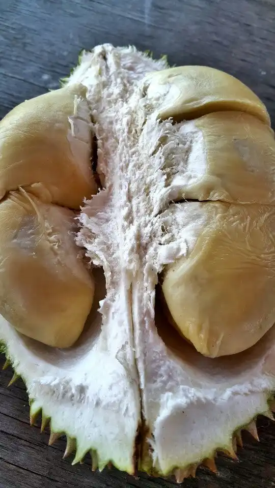 Bentong Durian Stall Food Photo 9