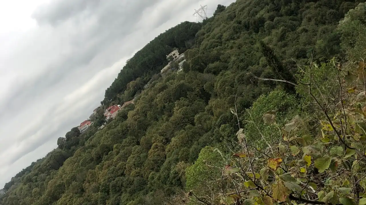 Wind Garden Park