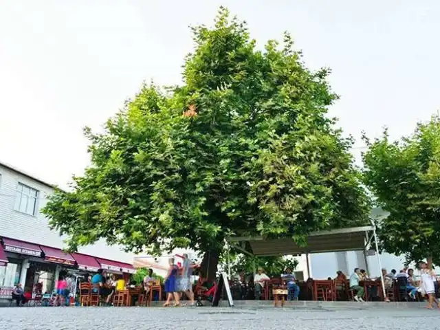 Çınaraltı Cafe'nin yemek ve ambiyans fotoğrafları 53