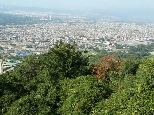 Dagyolu Teras Cafe'nin yemek ve ambiyans fotoğrafları 3