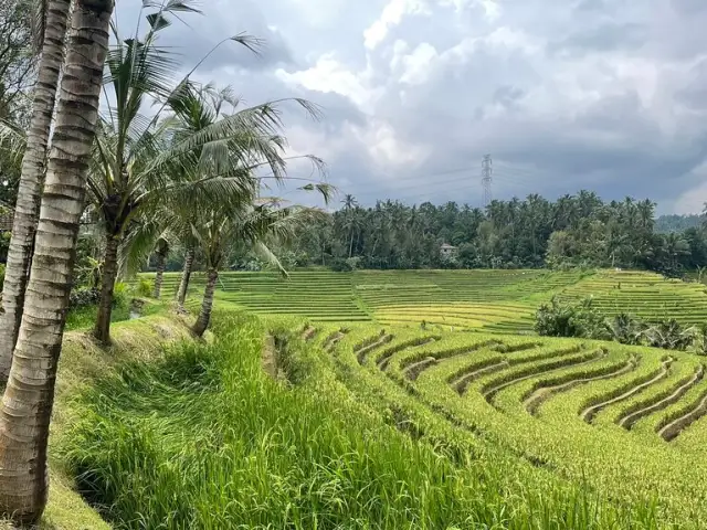 Gambar Makanan Warung Tepi Sawah 8