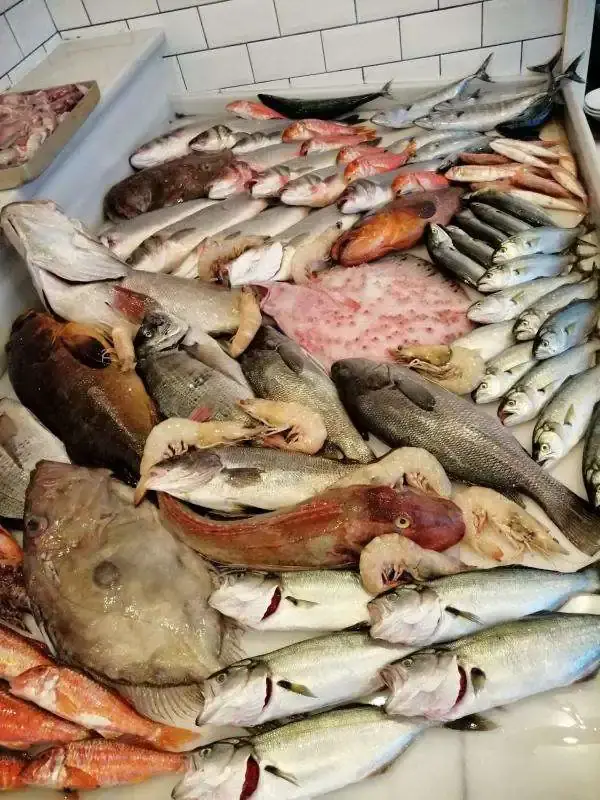 Rapala Balık'nin yemek ve ambiyans fotoğrafları 12