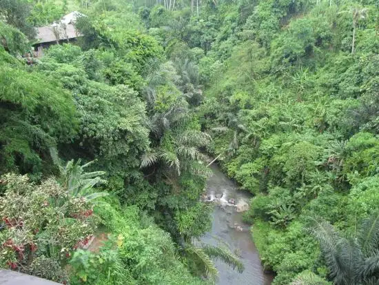 Gambar Makanan Petanu River Restaurant 18