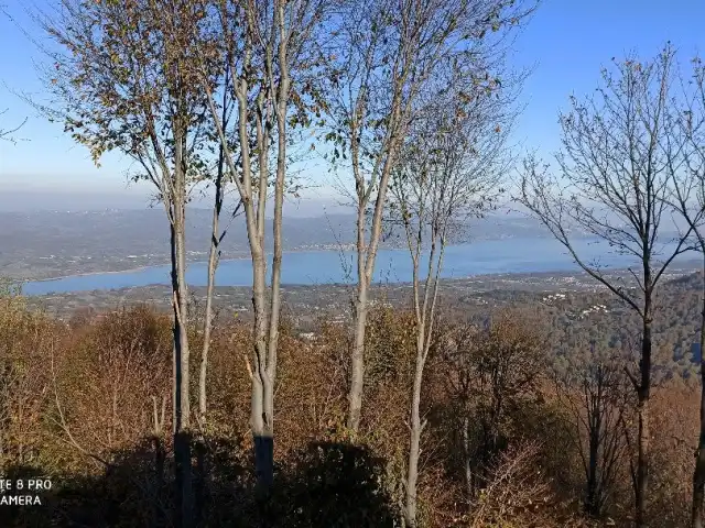 Sayrem Masalı Restaurant'nin yemek ve ambiyans fotoğrafları 12