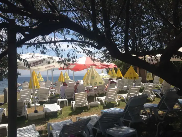Ataol Beach Restaurant'nin yemek ve ambiyans fotoğrafları 10