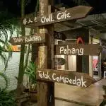 Owl Cafe Food Photo 6