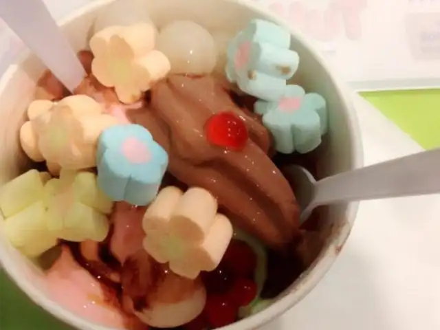 Tutti Frutti Frozen Yogurt Kebun Teh Food Photo 2