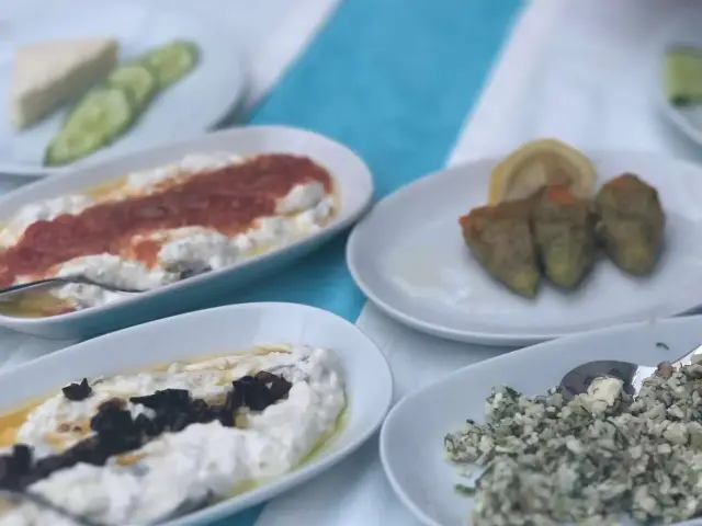 Hasan Tefik'nin yemek ve ambiyans fotoğrafları 31