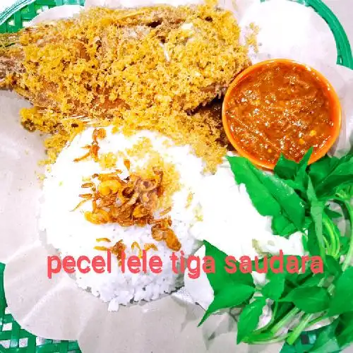 Gambar Makanan Pecel Lele Tiga Saudara, Ciledug Raya 20