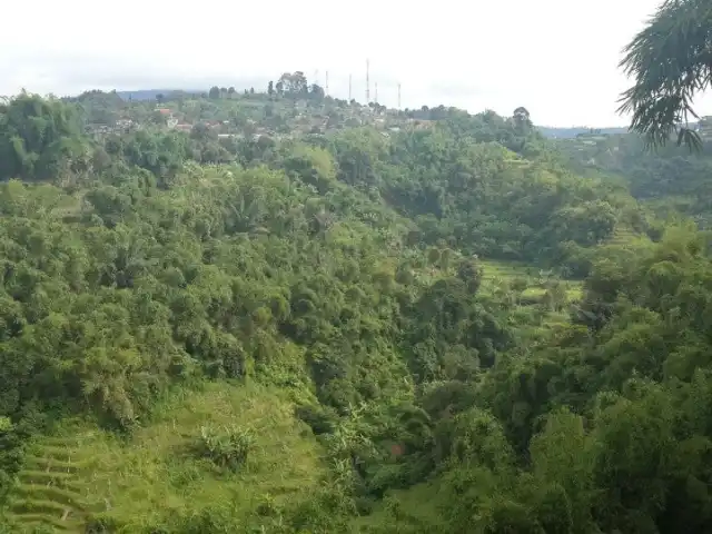 Gambar Makanan Rumah Makan Pengkolan - Lembang 9