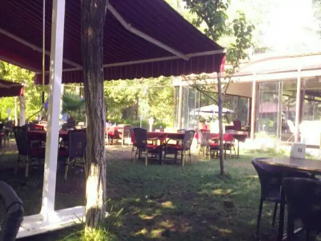 Treef Cafe'nin yemek ve ambiyans fotoğrafları 9