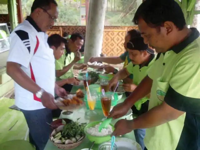 Lesehan Saung Hijau