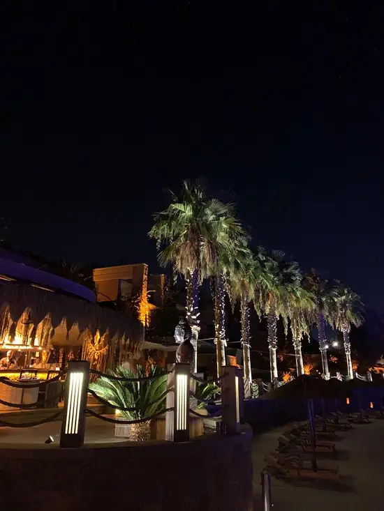 Buddha-Bar Beach Bodrum'nin yemek ve ambiyans fotoğrafları 31